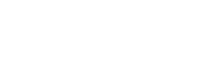 The Chanhassen Wellness Chiropractic website footer logo