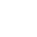 Apple Icon